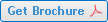 Download Vacation Rental Flyer